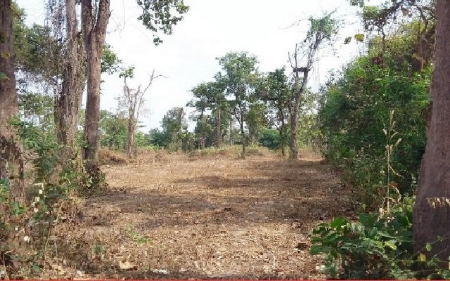 ประกาศฟรี! ซื้อ-ขาย-เช่า คอนโด บ้าน ทาวน์โฮม ที่ดิน และพื้นที่เชิงพาณิชย์ทั่วประเทศไทย ทุกทำเล ทุกงบประมาณ ไม่มีค่าใช้จ่าย ลงง่าย ขายไว เข้าถึงผู้ซื้อโดยตรง 3 203939pic2.jpg