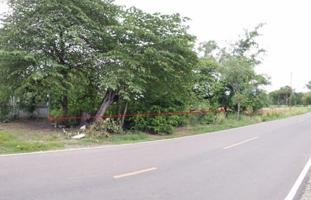 ประกาศฟรี! ซื้อ-ขาย-เช่า คอนโด บ้าน ทาวน์โฮม ที่ดิน และพื้นที่เชิงพาณิชย์ทั่วประเทศไทย ทุกทำเล ทุกงบประมาณ ไม่มีค่าใช้จ่าย ลงง่าย ขายไว เข้าถึงผู้ซื้อโดยตรง 4 203724pic3.jpg