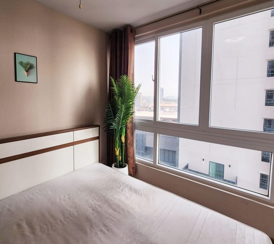 ประกาศฟรี! ซื้อ-ขาย-เช่า คอนโด บ้าน ทาวน์โฮม ที่ดิน และพื้นที่เชิงพาณิชย์ทั่วประเทศไทย ทุกทำเล ทุกงบประมาณ ไม่มีค่าใช้จ่าย ลงง่าย ขายไว เข้าถึงผู้ซื้อโดยตรง 2 287563pic1.jpg