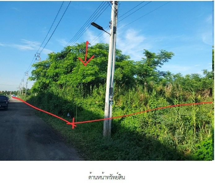 ประกาศฟรี! ซื้อ-ขาย-เช่า คอนโด บ้าน ทาวน์โฮม ที่ดิน และพื้นที่เชิงพาณิชย์ทั่วประเทศไทย ทุกทำเล ทุกงบประมาณ ไม่มีค่าใช้จ่าย ลงง่าย ขายไว เข้าถึงผู้ซื้อโดยตรง 5 199335pic4.jpg