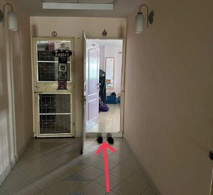 ประกาศฟรี! ซื้อ-ขาย-เช่า คอนโด บ้าน ทาวน์โฮม ที่ดิน และพื้นที่เชิงพาณิชย์ทั่วประเทศไทย ทุกทำเล ทุกงบประมาณ ไม่มีค่าใช้จ่าย ลงง่าย ขายไว เข้าถึงผู้ซื้อโดยตรง 3 199319pic2.jpg