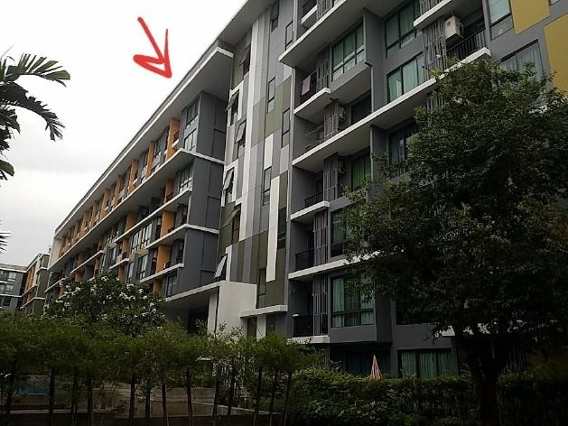 ประกาศฟรี! ซื้อ-ขาย-เช่า คอนโด บ้าน ทาวน์โฮม ที่ดิน และพื้นที่เชิงพาณิชย์ทั่วประเทศไทย ทุกทำเล ทุกงบประมาณ ไม่มีค่าใช้จ่าย ลงง่าย ขายไว เข้าถึงผู้ซื้อโดยตรง 2 199222pic1.jpg