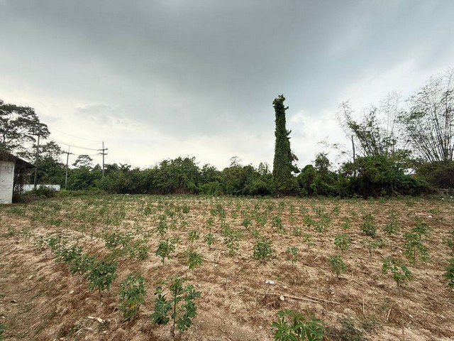 ประกาศฟรี! ซื้อ-ขาย-เช่า คอนโด บ้าน ทาวน์โฮม ที่ดิน และพื้นที่เชิงพาณิชย์ทั่วประเทศไทย ทุกทำเล ทุกงบประมาณ ไม่มีค่าใช้จ่าย ลงง่าย ขายไว เข้าถึงผู้ซื้อโดยตรง 2 287861pic1.jpg