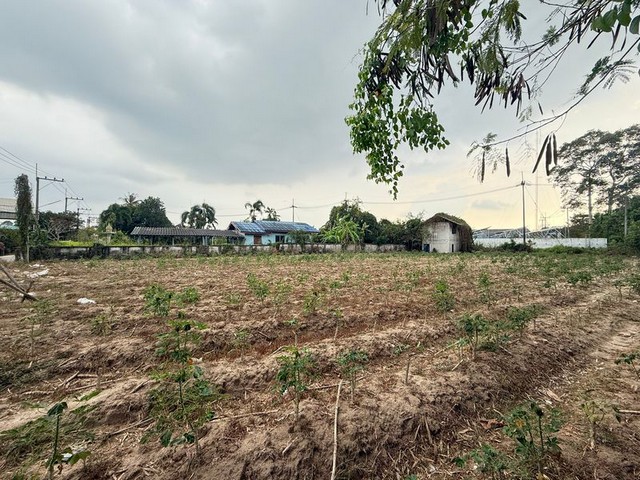 ประกาศฟรี! ซื้อ-ขาย-เช่า คอนโด บ้าน ทาวน์โฮม ที่ดิน และพื้นที่เชิงพาณิชย์ทั่วประเทศไทย ทุกทำเล ทุกงบประมาณ ไม่มีค่าใช้จ่าย ลงง่าย ขายไว เข้าถึงผู้ซื้อโดยตรง 3 287861pic2.jpg