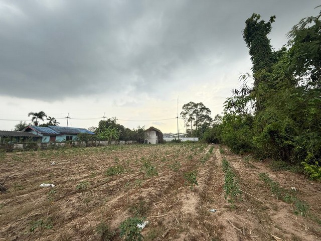 ประกาศฟรี! ซื้อ-ขาย-เช่า คอนโด บ้าน ทาวน์โฮม ที่ดิน และพื้นที่เชิงพาณิชย์ทั่วประเทศไทย ทุกทำเล ทุกงบประมาณ ไม่มีค่าใช้จ่าย ลงง่าย ขายไว เข้าถึงผู้ซื้อโดยตรง 4 287861pic3.jpg