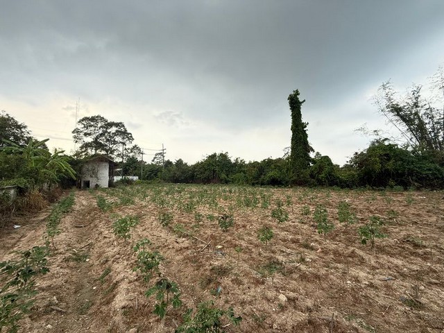 ประกาศฟรี! ซื้อ-ขาย-เช่า คอนโด บ้าน ทาวน์โฮม ที่ดิน และพื้นที่เชิงพาณิชย์ทั่วประเทศไทย ทุกทำเล ทุกงบประมาณ ไม่มีค่าใช้จ่าย ลงง่าย ขายไว เข้าถึงผู้ซื้อโดยตรง 5 287861pic4.jpg