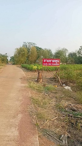 ประกาศฟรี! ซื้อ-ขาย-เช่า คอนโด บ้าน ทาวน์โฮม ที่ดิน และพื้นที่เชิงพาณิชย์ทั่วประเทศไทย ทุกทำเล ทุกงบประมาณ ไม่มีค่าใช้จ่าย ลงง่าย ขายไว เข้าถึงผู้ซื้อโดยตรง 2 303192pic1.jpg