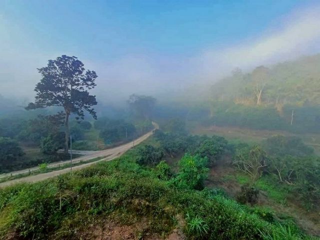 ประกาศฟรี! ซื้อ-ขาย-เช่า คอนโด บ้าน ทาวน์โฮม ที่ดิน และพื้นที่เชิงพาณิชย์ทั่วประเทศไทย ทุกทำเล ทุกงบประมาณ ไม่มีค่าใช้จ่าย ลงง่าย ขายไว เข้าถึงผู้ซื้อโดยตรง 2 224011pic1.jpg