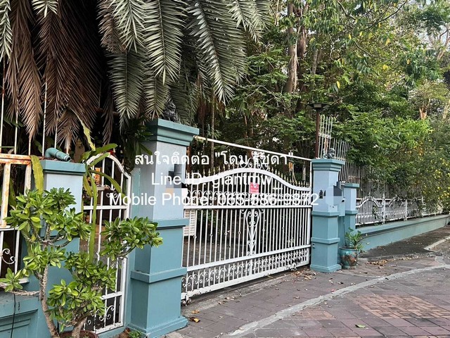 ประกาศฟรี! ซื้อ-ขาย-เช่า คอนโด บ้าน ทาวน์โฮม ที่ดิน และพื้นที่เชิงพาณิชย์ทั่วประเทศไทย ทุกทำเล ทุกงบประมาณ ไม่มีค่าใช้จ่าย ลงง่าย ขายไว เข้าถึงผู้ซื้อโดยตรง 3 15171pic2.jpg