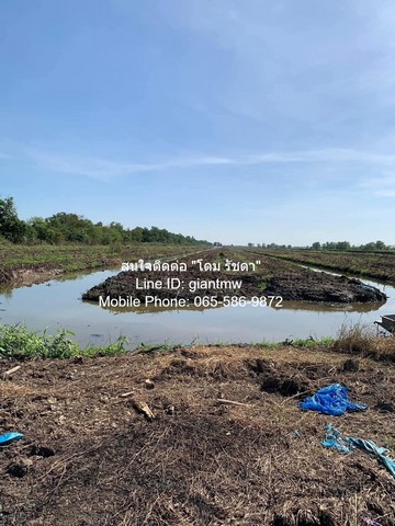 ประกาศฟรี! ซื้อ-ขาย-เช่า คอนโด บ้าน ทาวน์โฮม ที่ดิน และพื้นที่เชิงพาณิชย์ทั่วประเทศไทย ทุกทำเล ทุกงบประมาณ ไม่มีค่าใช้จ่าย ลงง่าย ขายไว เข้าถึงผู้ซื้อโดยตรง 3 15155pic2.jpg