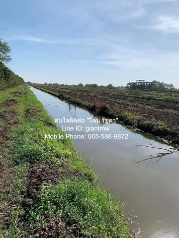 ประกาศฟรี! ซื้อ-ขาย-เช่า คอนโด บ้าน ทาวน์โฮม ที่ดิน และพื้นที่เชิงพาณิชย์ทั่วประเทศไทย ทุกทำเล ทุกงบประมาณ ไม่มีค่าใช้จ่าย ลงง่าย ขายไว เข้าถึงผู้ซื้อโดยตรง 5 15155pic4.jpg