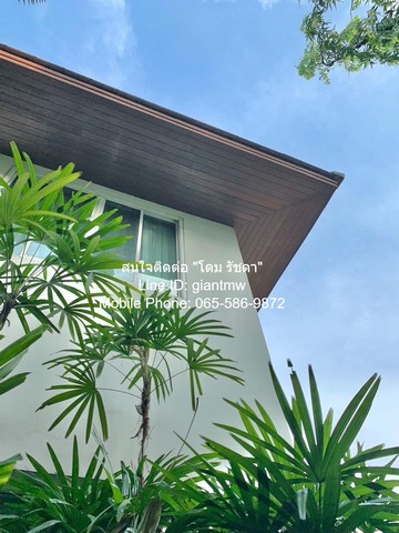 ประกาศฟรี! ซื้อ-ขาย-เช่า คอนโด บ้าน ทาวน์โฮม ที่ดิน และพื้นที่เชิงพาณิชย์ทั่วประเทศไทย ทุกทำเล ทุกงบประมาณ ไม่มีค่าใช้จ่าย ลงง่าย ขายไว เข้าถึงผู้ซื้อโดยตรง 3 14954pic2.jpg