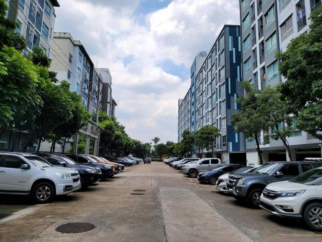 ประกาศฟรี! ซื้อ-ขาย-เช่า คอนโด บ้าน ทาวน์โฮม ที่ดิน และพื้นที่เชิงพาณิชย์ทั่วประเทศไทย ทุกทำเล ทุกงบประมาณ ไม่มีค่าใช้จ่าย ลงง่าย ขายไว เข้าถึงผู้ซื้อโดยตรง 2 195459pic1.jpg