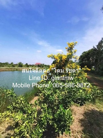 ประกาศฟรี! ซื้อ-ขาย-เช่า คอนโด บ้าน ทาวน์โฮม ที่ดิน และพื้นที่เชิงพาณิชย์ทั่วประเทศไทย ทุกทำเล ทุกงบประมาณ ไม่มีค่าใช้จ่าย ลงง่าย ขายไว เข้าถึงผู้ซื้อโดยตรง 3 14918pic2.jpg