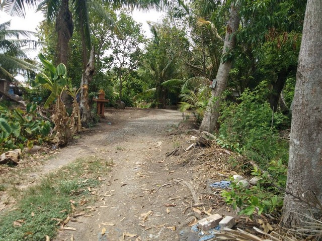 ประกาศฟรี! ซื้อ-ขาย-เช่า คอนโด บ้าน ทาวน์โฮม ที่ดิน และพื้นที่เชิงพาณิชย์ทั่วประเทศไทย ทุกทำเล ทุกงบประมาณ ไม่มีค่าใช้จ่าย ลงง่าย ขายไว เข้าถึงผู้ซื้อโดยตรง 4 14600pic3.jpg