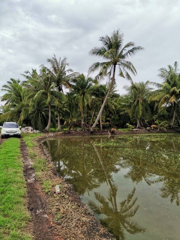 ประกาศฟรี! ซื้อ-ขาย-เช่า คอนโด บ้าน ทาวน์โฮม ที่ดิน และพื้นที่เชิงพาณิชย์ทั่วประเทศไทย ทุกทำเล ทุกงบประมาณ ไม่มีค่าใช้จ่าย ลงง่าย ขายไว เข้าถึงผู้ซื้อโดยตรง 5 14600pic4.jpg