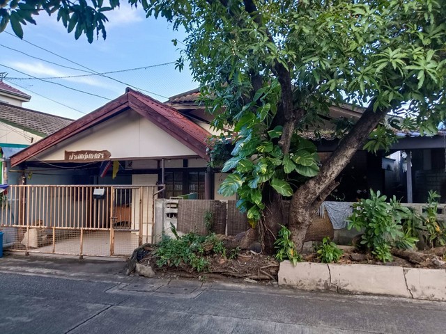 ประกาศฟรี! ซื้อ-ขาย-เช่า คอนโด บ้าน ทาวน์โฮม ที่ดิน และพื้นที่เชิงพาณิชย์ทั่วประเทศไทย ทุกทำเล ทุกงบประมาณ ไม่มีค่าใช้จ่าย ลงง่าย ขายไว เข้าถึงผู้ซื้อโดยตรง 2 303329pic1.jpg