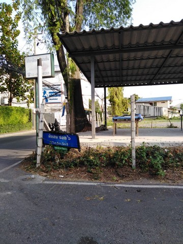 ประกาศฟรี! ซื้อ-ขาย-เช่า คอนโด บ้าน ทาวน์โฮม ที่ดิน และพื้นที่เชิงพาณิชย์ทั่วประเทศไทย ทุกทำเล ทุกงบประมาณ ไม่มีค่าใช้จ่าย ลงง่าย ขายไว เข้าถึงผู้ซื้อโดยตรง 5 303371pic4.jpg