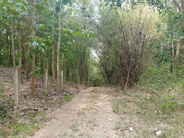 ประกาศฟรี! ซื้อ-ขาย-เช่า คอนโด บ้าน ทาวน์โฮม ที่ดิน และพื้นที่เชิงพาณิชย์ทั่วประเทศไทย ทุกทำเล ทุกงบประมาณ ไม่มีค่าใช้จ่าย ลงง่าย ขายไว เข้าถึงผู้ซื้อโดยตรง 4 14358pic3.jpg