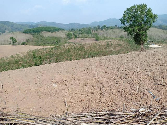 ประกาศฟรี! ซื้อ-ขาย-เช่า คอนโด บ้าน ทาวน์โฮม ที่ดิน และพื้นที่เชิงพาณิชย์ทั่วประเทศไทย ทุกทำเล ทุกงบประมาณ ไม่มีค่าใช้จ่าย ลงง่าย ขายไว เข้าถึงผู้ซื้อโดยตรง 5 14358pic4.jpg