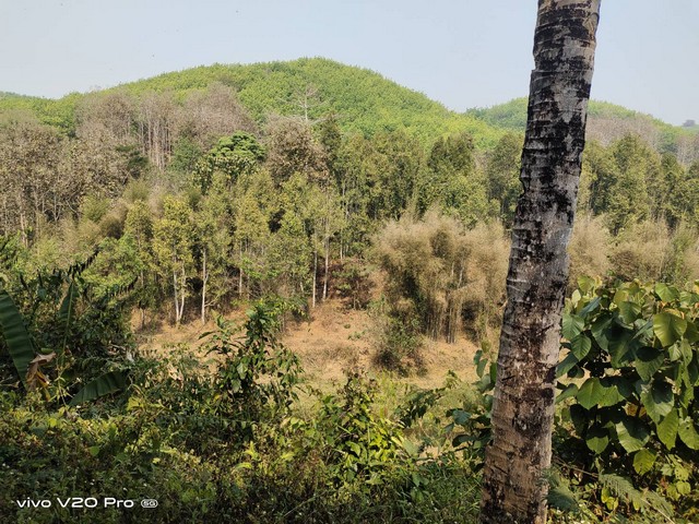 ประกาศฟรี! ซื้อ-ขาย-เช่า คอนโด บ้าน ทาวน์โฮม ที่ดิน และพื้นที่เชิงพาณิชย์ทั่วประเทศไทย ทุกทำเล ทุกงบประมาณ ไม่มีค่าใช้จ่าย ลงง่าย ขายไว เข้าถึงผู้ซื้อโดยตรง 4 14357pic3.jpg