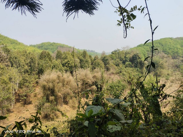 ประกาศฟรี! ซื้อ-ขาย-เช่า คอนโด บ้าน ทาวน์โฮม ที่ดิน และพื้นที่เชิงพาณิชย์ทั่วประเทศไทย ทุกทำเล ทุกงบประมาณ ไม่มีค่าใช้จ่าย ลงง่าย ขายไว เข้าถึงผู้ซื้อโดยตรง 5 14357pic4.jpg