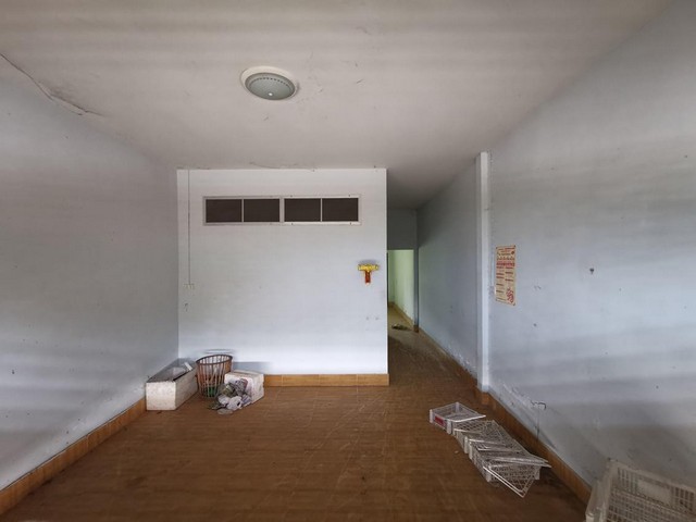 ประกาศฟรี! ซื้อ-ขาย-เช่า คอนโด บ้าน ทาวน์โฮม ที่ดิน และพื้นที่เชิงพาณิชย์ทั่วประเทศไทย ทุกทำเล ทุกงบประมาณ ไม่มีค่าใช้จ่าย ลงง่าย ขายไว เข้าถึงผู้ซื้อโดยตรง 3 195665pic2.jpg