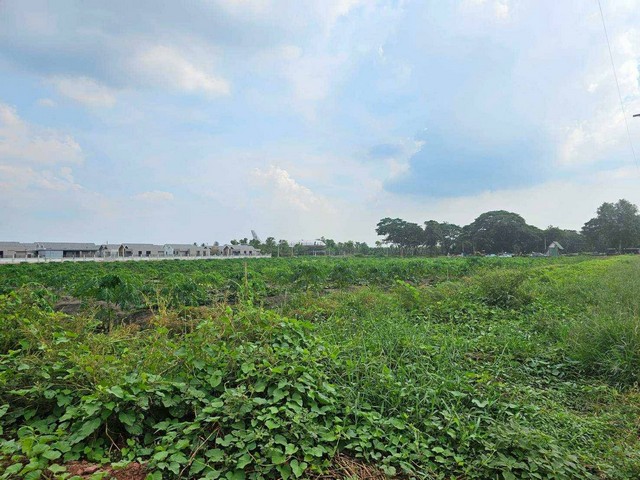 ประกาศฟรี! ซื้อ-ขาย-เช่า คอนโด บ้าน ทาวน์โฮม ที่ดิน และพื้นที่เชิงพาณิชย์ทั่วประเทศไทย ทุกทำเล ทุกงบประมาณ ไม่มีค่าใช้จ่าย ลงง่าย ขายไว เข้าถึงผู้ซื้อโดยตรง 3 303492pic2.jpg