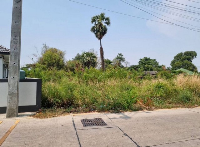 ประกาศฟรี! ซื้อ-ขาย-เช่า คอนโด บ้าน ทาวน์โฮม ที่ดิน และพื้นที่เชิงพาณิชย์ทั่วประเทศไทย ทุกทำเล ทุกงบประมาณ ไม่มีค่าใช้จ่าย ลงง่าย ขายไว เข้าถึงผู้ซื้อโดยตรง 3 288602pic2.jpg