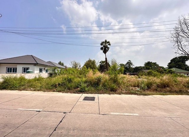 ประกาศฟรี! ซื้อ-ขาย-เช่า คอนโด บ้าน ทาวน์โฮม ที่ดิน และพื้นที่เชิงพาณิชย์ทั่วประเทศไทย ทุกทำเล ทุกงบประมาณ ไม่มีค่าใช้จ่าย ลงง่าย ขายไว เข้าถึงผู้ซื้อโดยตรง 2 288602pic1.jpg