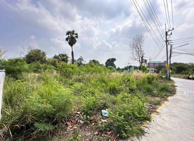 ประกาศฟรี! ซื้อ-ขาย-เช่า คอนโด บ้าน ทาวน์โฮม ที่ดิน และพื้นที่เชิงพาณิชย์ทั่วประเทศไทย ทุกทำเล ทุกงบประมาณ ไม่มีค่าใช้จ่าย ลงง่าย ขายไว เข้าถึงผู้ซื้อโดยตรง 5 288602pic4.jpg