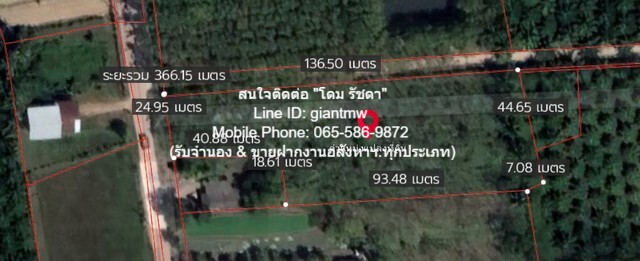 ประกาศฟรี! ซื้อ-ขาย-เช่า คอนโด บ้าน ทาวน์โฮม ที่ดิน และพื้นที่เชิงพาณิชย์ทั่วประเทศไทย ทุกทำเล ทุกงบประมาณ ไม่มีค่าใช้จ่าย ลงง่าย ขายไว เข้าถึงผู้ซื้อโดยตรง 3 11445pic2.jpg