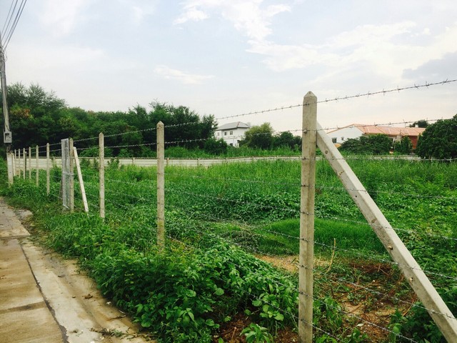 ประกาศฟรี! ซื้อ-ขาย-เช่า คอนโด บ้าน ทาวน์โฮม ที่ดิน และพื้นที่เชิงพาณิชย์ทั่วประเทศไทย ทุกทำเล ทุกงบประมาณ ไม่มีค่าใช้จ่าย ลงง่าย ขายไว เข้าถึงผู้ซื้อโดยตรง 3 303597pic2.jpg