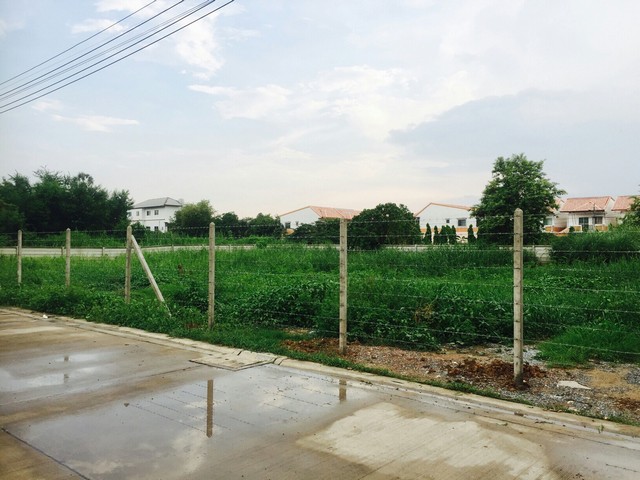 ประกาศฟรี! ซื้อ-ขาย-เช่า คอนโด บ้าน ทาวน์โฮม ที่ดิน และพื้นที่เชิงพาณิชย์ทั่วประเทศไทย ทุกทำเล ทุกงบประมาณ ไม่มีค่าใช้จ่าย ลงง่าย ขายไว เข้าถึงผู้ซื้อโดยตรง 4 303597pic3.jpg