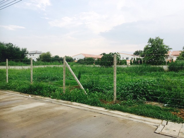 ประกาศฟรี! ซื้อ-ขาย-เช่า คอนโด บ้าน ทาวน์โฮม ที่ดิน และพื้นที่เชิงพาณิชย์ทั่วประเทศไทย ทุกทำเล ทุกงบประมาณ ไม่มีค่าใช้จ่าย ลงง่าย ขายไว เข้าถึงผู้ซื้อโดยตรง 5 303597pic4.jpg