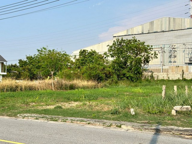 ประกาศฟรี! ซื้อ-ขาย-เช่า คอนโด บ้าน ทาวน์โฮม ที่ดิน และพื้นที่เชิงพาณิชย์ทั่วประเทศไทย ทุกทำเล ทุกงบประมาณ ไม่มีค่าใช้จ่าย ลงง่าย ขายไว เข้าถึงผู้ซื้อโดยตรง 2 288500pic1.jpg