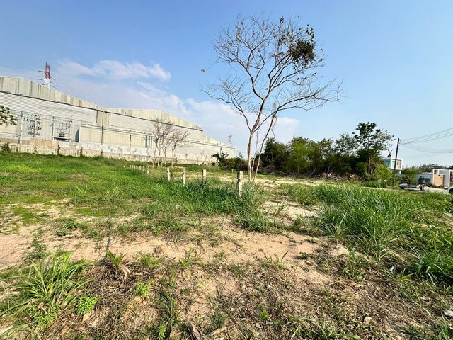 ประกาศฟรี! ซื้อ-ขาย-เช่า คอนโด บ้าน ทาวน์โฮม ที่ดิน และพื้นที่เชิงพาณิชย์ทั่วประเทศไทย ทุกทำเล ทุกงบประมาณ ไม่มีค่าใช้จ่าย ลงง่าย ขายไว เข้าถึงผู้ซื้อโดยตรง 3 288500pic2.jpg