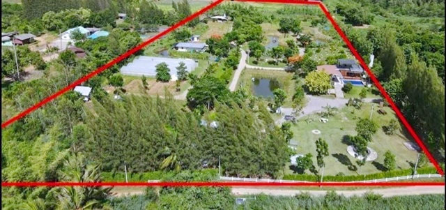 ประกาศฟรี! ซื้อ-ขาย-เช่า คอนโด บ้าน ทาวน์โฮม ที่ดิน และพื้นที่เชิงพาณิชย์ทั่วประเทศไทย ทุกทำเล ทุกงบประมาณ ไม่มีค่าใช้จ่าย ลงง่าย ขายไว เข้าถึงผู้ซื้อโดยตรง 2 225126pic1.jpg