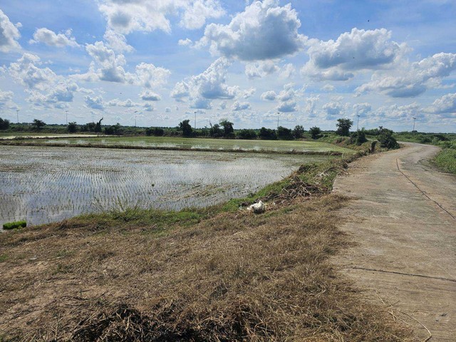 ประกาศฟรี! ซื้อ-ขาย-เช่า คอนโด บ้าน ทาวน์โฮม ที่ดิน และพื้นที่เชิงพาณิชย์ทั่วประเทศไทย ทุกทำเล ทุกงบประมาณ ไม่มีค่าใช้จ่าย ลงง่าย ขายไว เข้าถึงผู้ซื้อโดยตรง 4 303735pic3.jpg