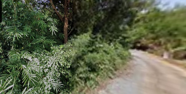 ประกาศฟรี! ซื้อ-ขาย-เช่า คอนโด บ้าน ทาวน์โฮม ที่ดิน และพื้นที่เชิงพาณิชย์ทั่วประเทศไทย ทุกทำเล ทุกงบประมาณ ไม่มีค่าใช้จ่าย ลงง่าย ขายไว เข้าถึงผู้ซื้อโดยตรง 4 6918pic3.jpg