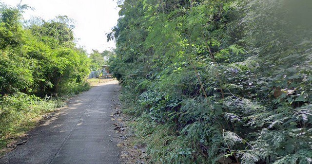 ประกาศฟรี! ซื้อ-ขาย-เช่า คอนโด บ้าน ทาวน์โฮม ที่ดิน และพื้นที่เชิงพาณิชย์ทั่วประเทศไทย ทุกทำเล ทุกงบประมาณ ไม่มีค่าใช้จ่าย ลงง่าย ขายไว เข้าถึงผู้ซื้อโดยตรง 5 6918pic4.jpg