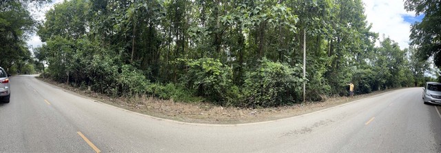 ประกาศฟรี! ซื้อ-ขาย-เช่า คอนโด บ้าน ทาวน์โฮม ที่ดิน และพื้นที่เชิงพาณิชย์ทั่วประเทศไทย ทุกทำเล ทุกงบประมาณ ไม่มีค่าใช้จ่าย ลงง่าย ขายไว เข้าถึงผู้ซื้อโดยตรง 4 6917pic3.jpg