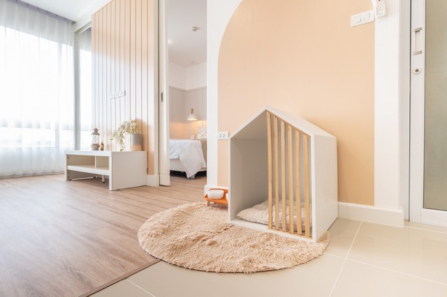 ประกาศฟรี! ซื้อ-ขาย-เช่า คอนโด บ้าน ทาวน์โฮม ที่ดิน และพื้นที่เชิงพาณิชย์ทั่วประเทศไทย ทุกทำเล ทุกงบประมาณ ไม่มีค่าใช้จ่าย ลงง่าย ขายไว เข้าถึงผู้ซื้อโดยตรง 4 445593pic3.jpg