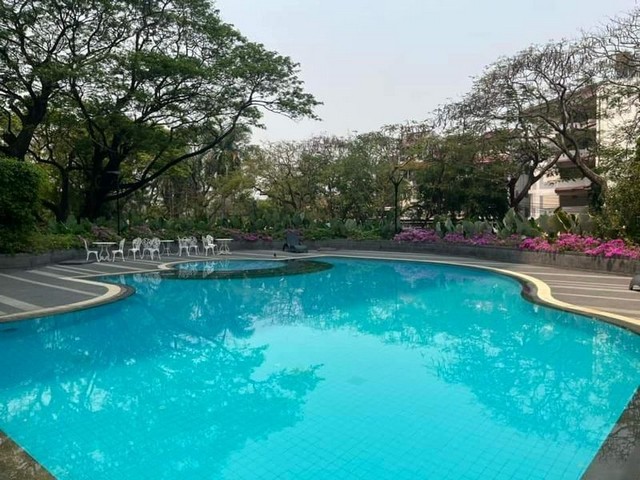 ประกาศฟรี! ซื้อ-ขาย-เช่า คอนโด บ้าน ทาวน์โฮม ที่ดิน และพื้นที่เชิงพาณิชย์ทั่วประเทศไทย ทุกทำเล ทุกงบประมาณ ไม่มีค่าใช้จ่าย ลงง่าย ขายไว เข้าถึงผู้ซื้อโดยตรง 2 225929pic1.jpg