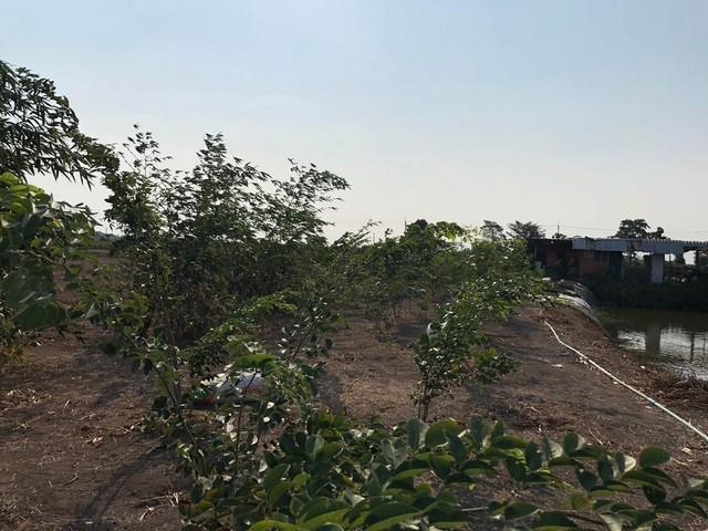 ประกาศฟรี! ซื้อ-ขาย-เช่า คอนโด บ้าน ทาวน์โฮม ที่ดิน และพื้นที่เชิงพาณิชย์ทั่วประเทศไทย ทุกทำเล ทุกงบประมาณ ไม่มีค่าใช้จ่าย ลงง่าย ขายไว เข้าถึงผู้ซื้อโดยตรง 5 467608pic4.jpg