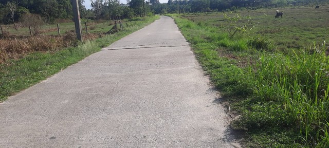 ประกาศฟรี! ซื้อ-ขาย-เช่า คอนโด บ้าน ทาวน์โฮม ที่ดิน และพื้นที่เชิงพาณิชย์ทั่วประเทศไทย ทุกทำเล ทุกงบประมาณ ไม่มีค่าใช้จ่าย ลงง่าย ขายไว เข้าถึงผู้ซื้อโดยตรง 3 13913pic2.jpg