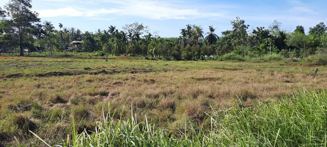 ประกาศฟรี! ซื้อ-ขาย-เช่า คอนโด บ้าน ทาวน์โฮม ที่ดิน และพื้นที่เชิงพาณิชย์ทั่วประเทศไทย ทุกทำเล ทุกงบประมาณ ไม่มีค่าใช้จ่าย ลงง่าย ขายไว เข้าถึงผู้ซื้อโดยตรง 5 13913pic4.jpg