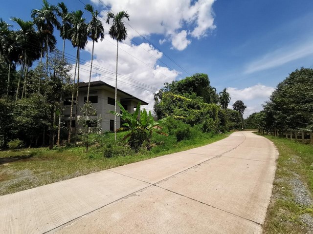 ประกาศฟรี! ซื้อ-ขาย-เช่า คอนโด บ้าน ทาวน์โฮม ที่ดิน และพื้นที่เชิงพาณิชย์ทั่วประเทศไทย ทุกทำเล ทุกงบประมาณ ไม่มีค่าใช้จ่าย ลงง่าย ขายไว เข้าถึงผู้ซื้อโดยตรง 3 196646pic2.jpg