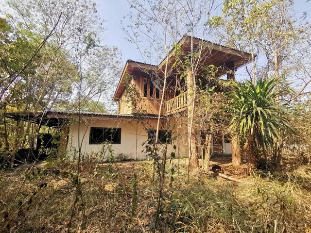 ประกาศฟรี! ซื้อ-ขาย-เช่า คอนโด บ้าน ทาวน์โฮม ที่ดิน และพื้นที่เชิงพาณิชย์ทั่วประเทศไทย ทุกทำเล ทุกงบประมาณ ไม่มีค่าใช้จ่าย ลงง่าย ขายไว เข้าถึงผู้ซื้อโดยตรง 2 196533pic1.jpg