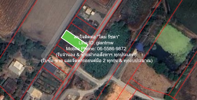 ประกาศฟรี! ซื้อ-ขาย-เช่า คอนโด บ้าน ทาวน์โฮม ที่ดิน และพื้นที่เชิงพาณิชย์ทั่วประเทศไทย ทุกทำเล ทุกงบประมาณ ไม่มีค่าใช้จ่าย ลงง่าย ขายไว เข้าถึงผู้ซื้อโดยตรง 2 297271pic1.jpg